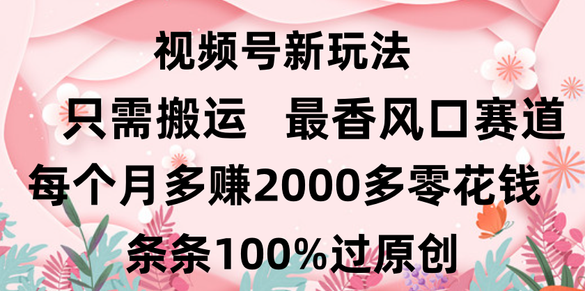 日入2000+，条条100%过原创，视频号最香风口赛道，小白轻松上手