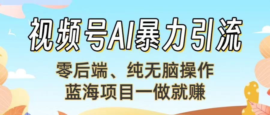 视频号AI暴力引流：零后端、纯无脑操作，蓝海项目一做就赚！【下面那个链接失效了】